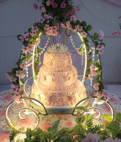 Carruaje de 1 con luz