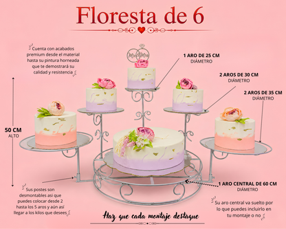 Floresta de 6