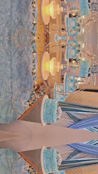 Carruaje cenicienta de 8